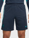 Nike Træningsshorts 2023/24 Blå