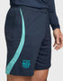 Nike Træningsshorts 2023/24 Blå