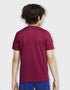 Nike Træning T-shirt Academy Pro Rød Børn