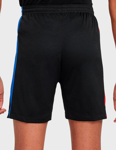 Nike Udebaneshorts 2024/25 Børn